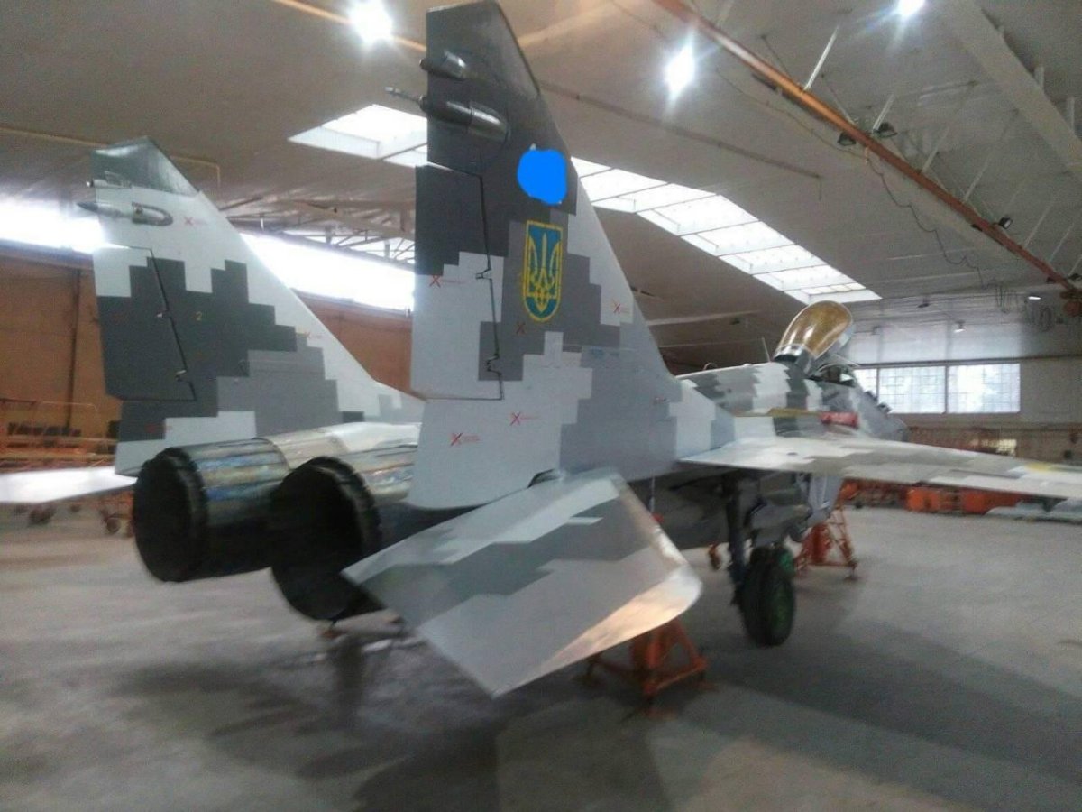 Украинский миг 29