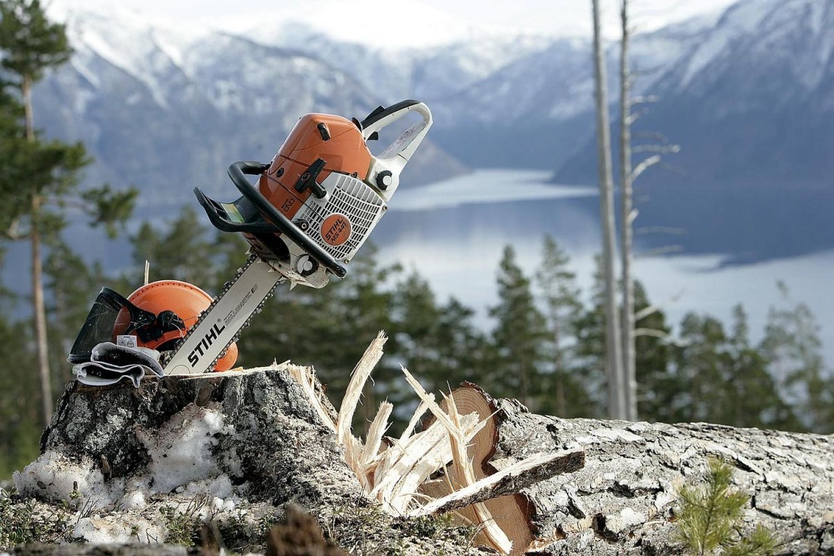 Stihl 500