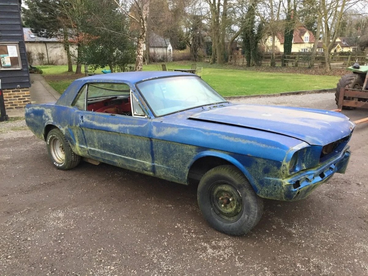 Ford Mustang 1966 и Волга 24