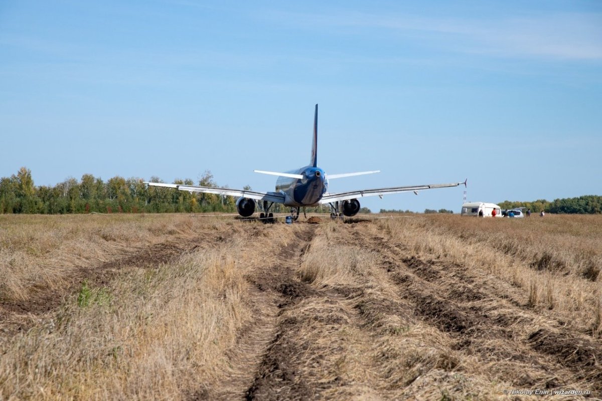 Самолет севший в поле