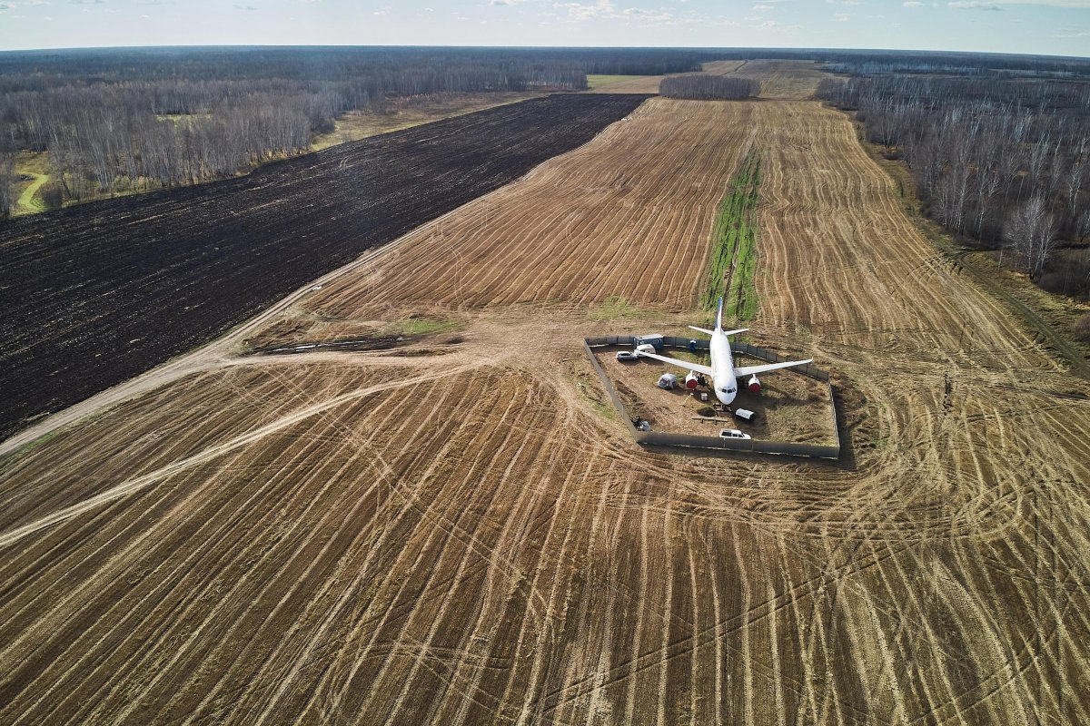 Поля Новосибирской области