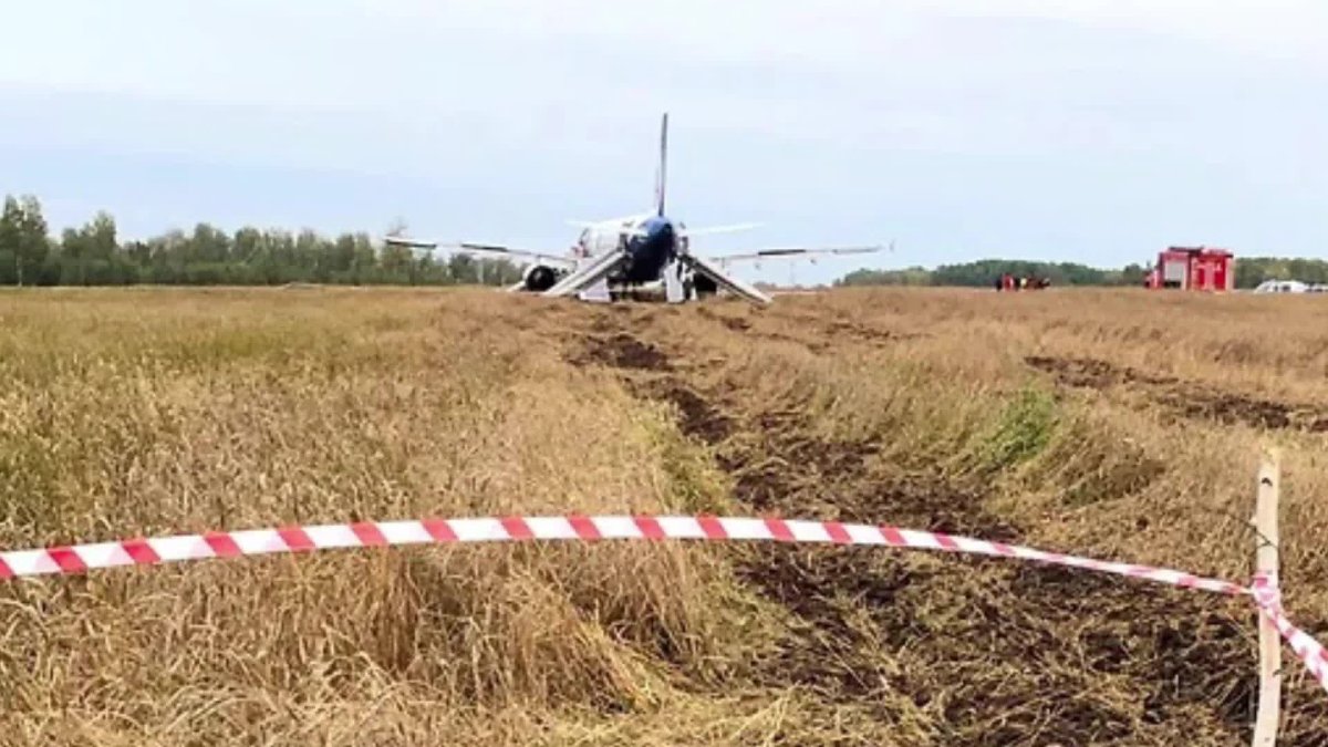 Самолеты, с полем