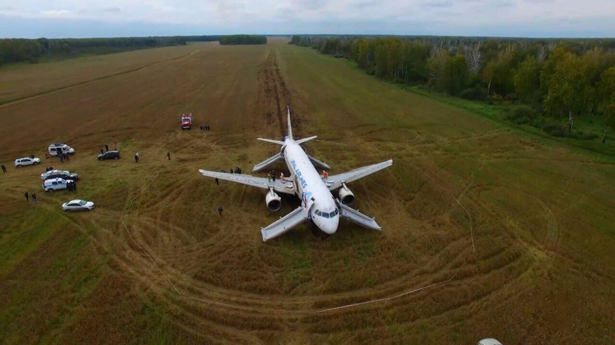 Самолёт сел в поле под Новосибирском