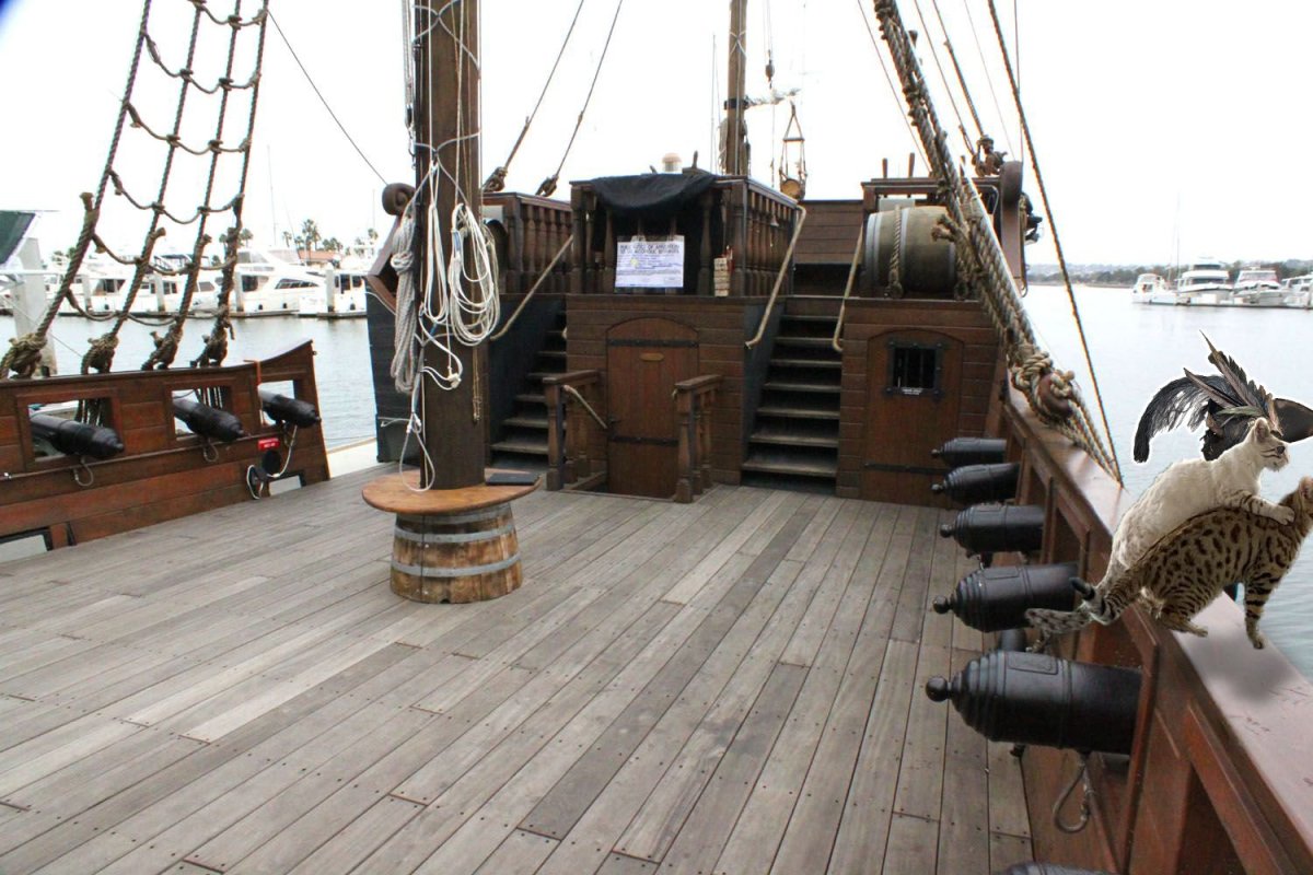 Фрегат Гермиона палуба