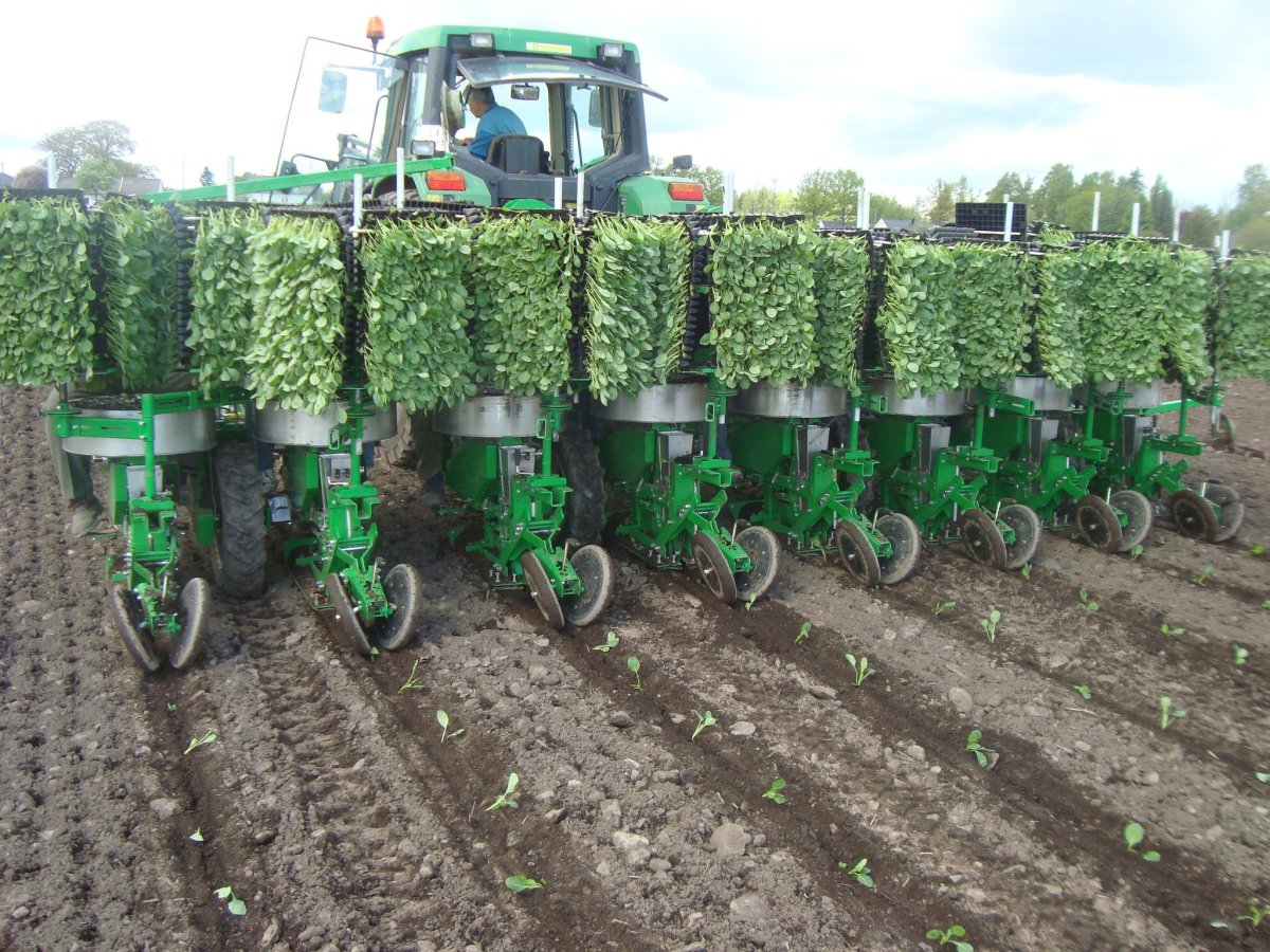 Сеялка пропашная sfoggia