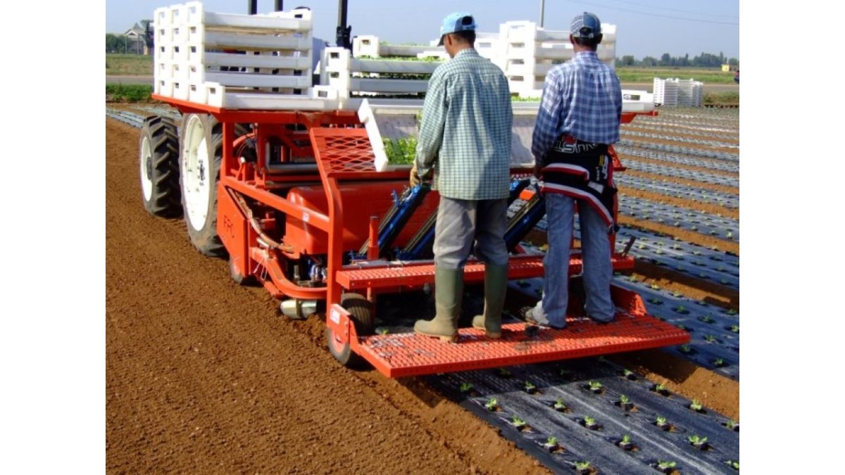 Машина для мульчирования