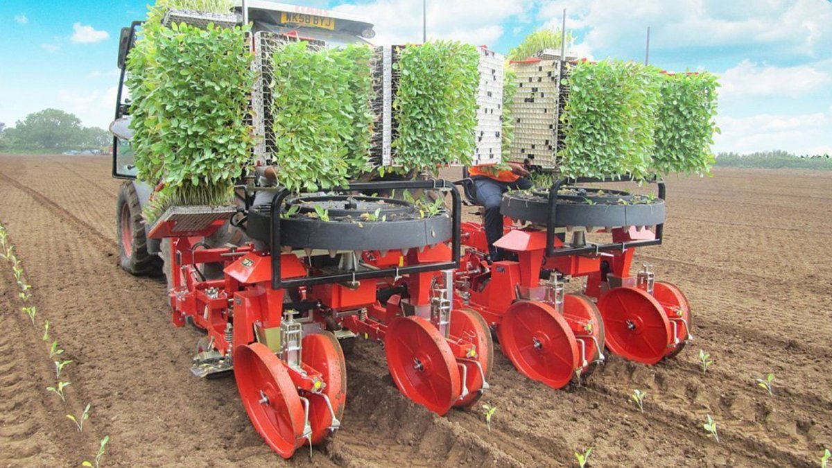 Checchi Magli рассадопосадочная машина