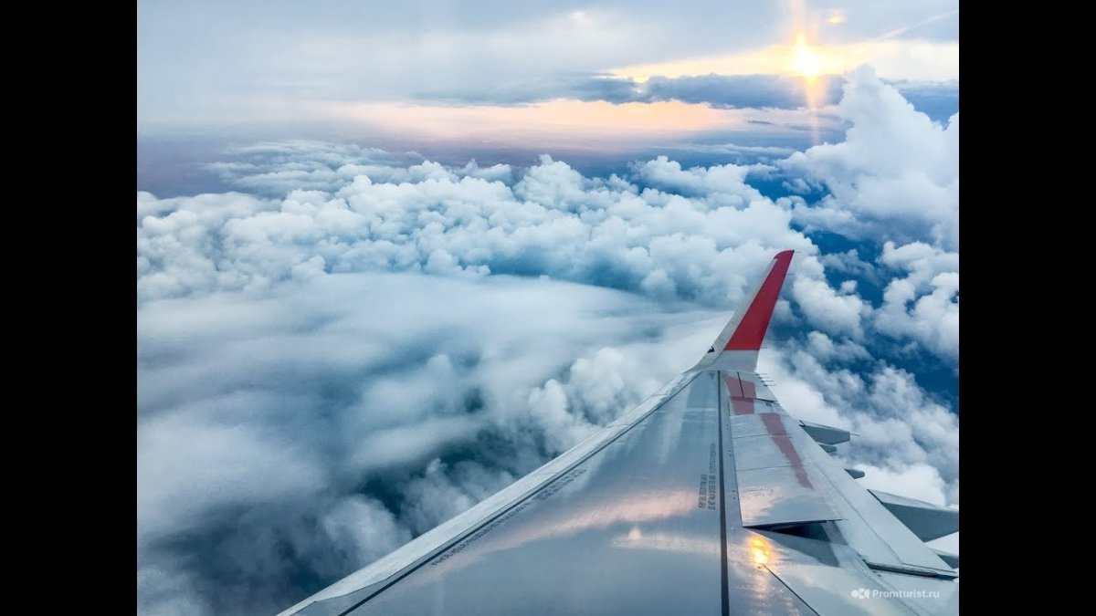 Аэрофлот гроза