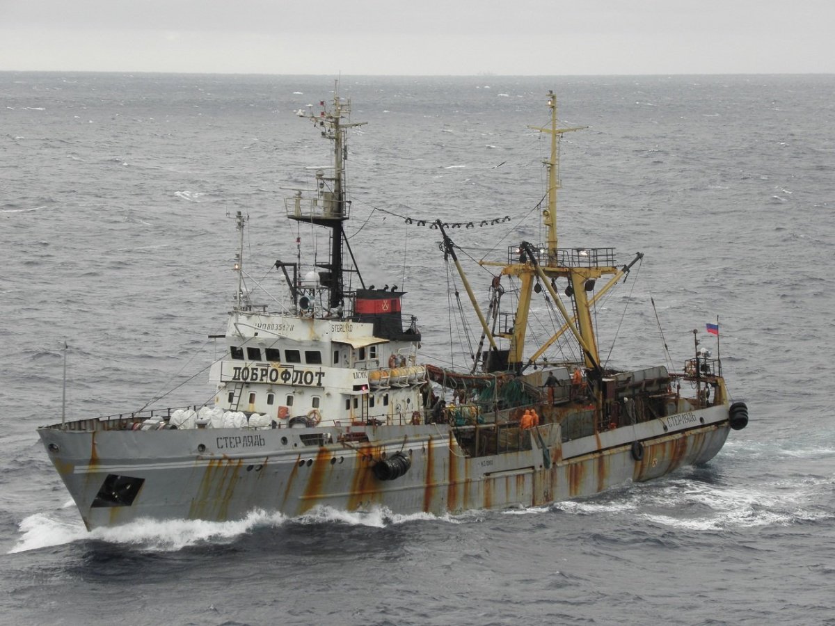 Рыболовный траулер стр 503