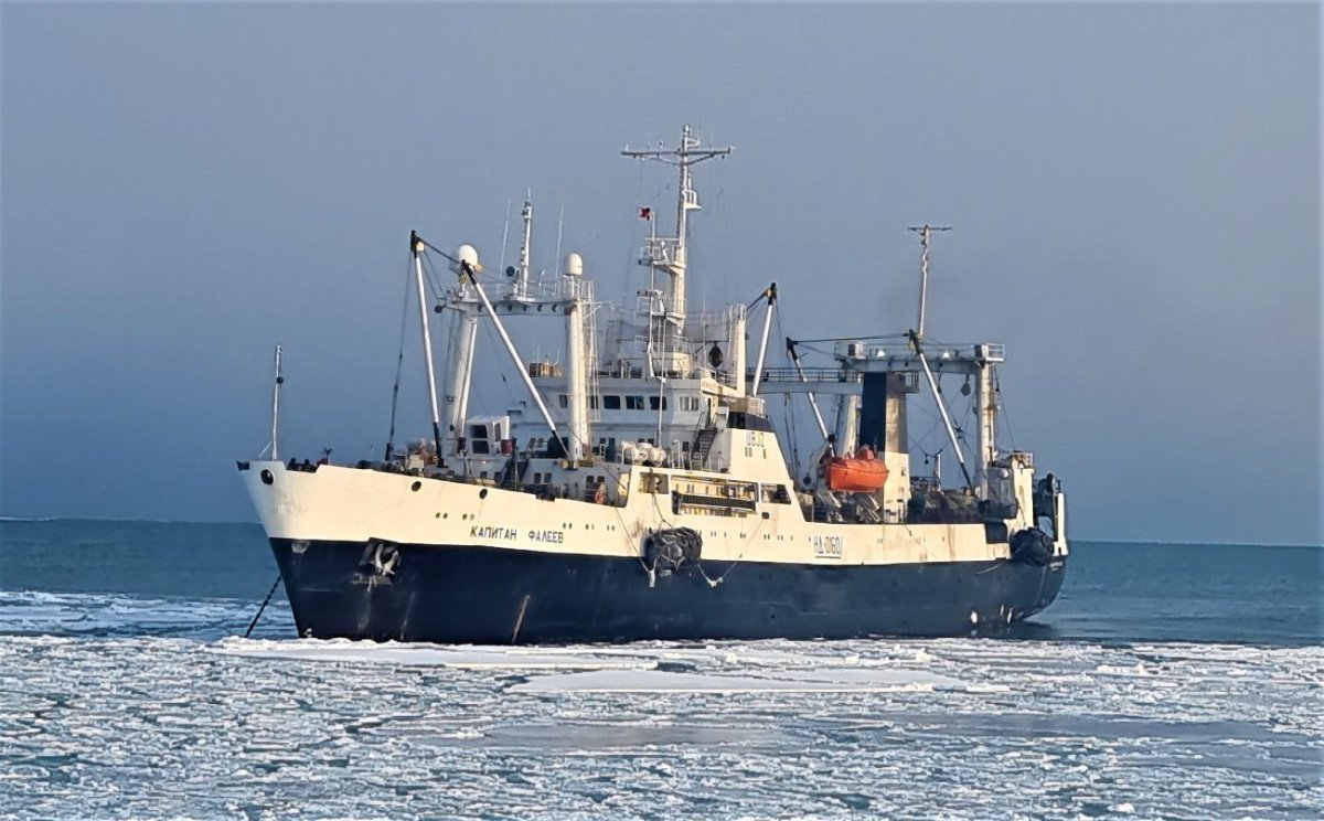 БМРТ Капитан Фалеев