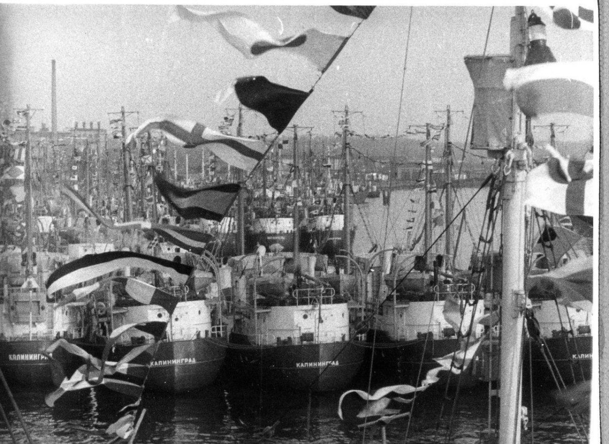 Калининградский рыбный порт