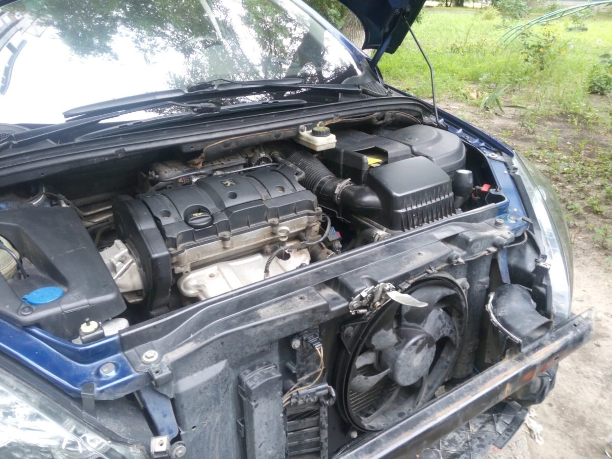 Пежо 206 открытый капот