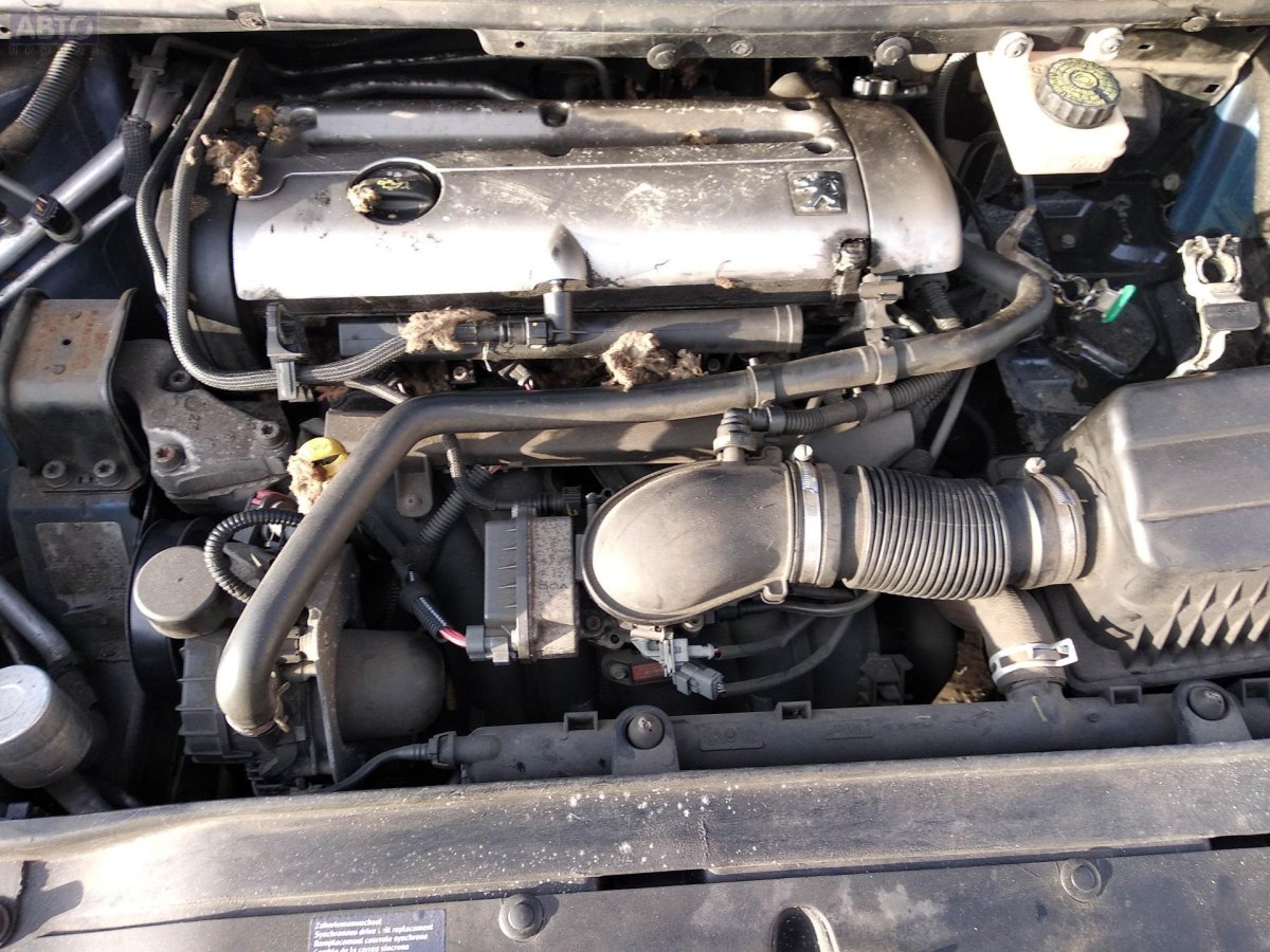 Peugeot 307 rfn (ew10j4)