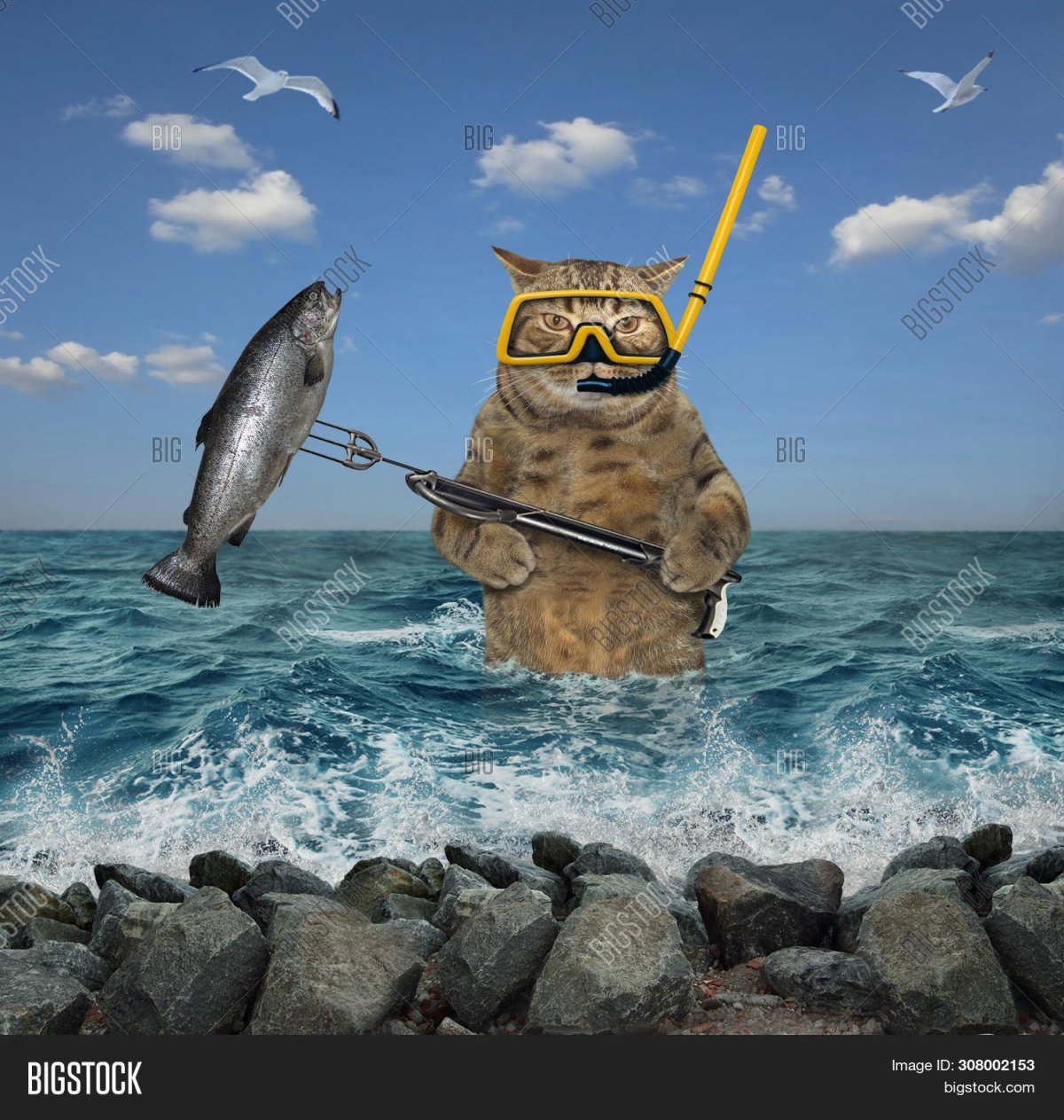 Кот подводник