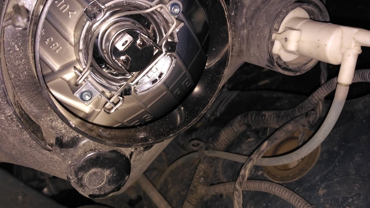 Земана лампы Гранта фл