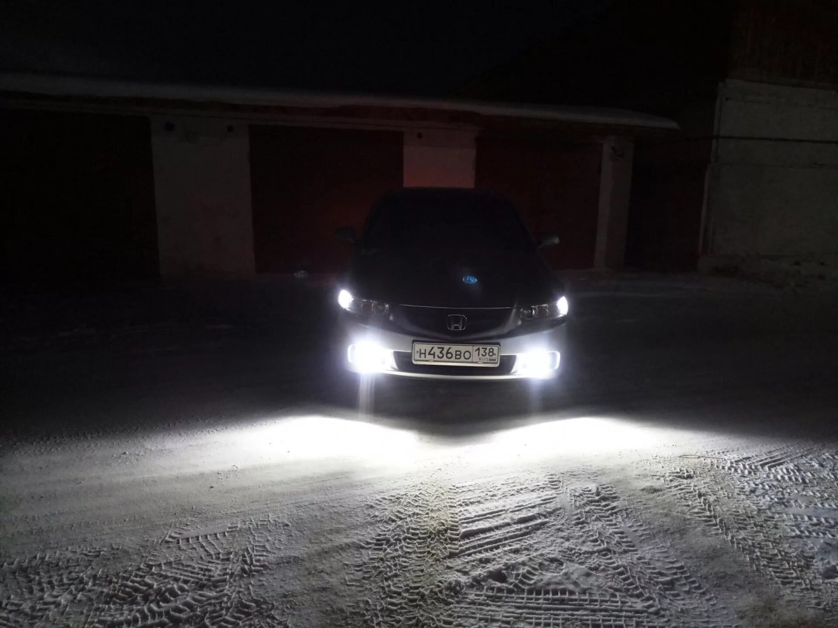 Led лампы в туманки Accord 6