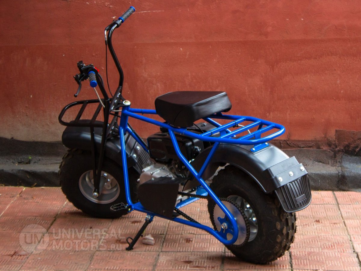 Скаут сафари 3