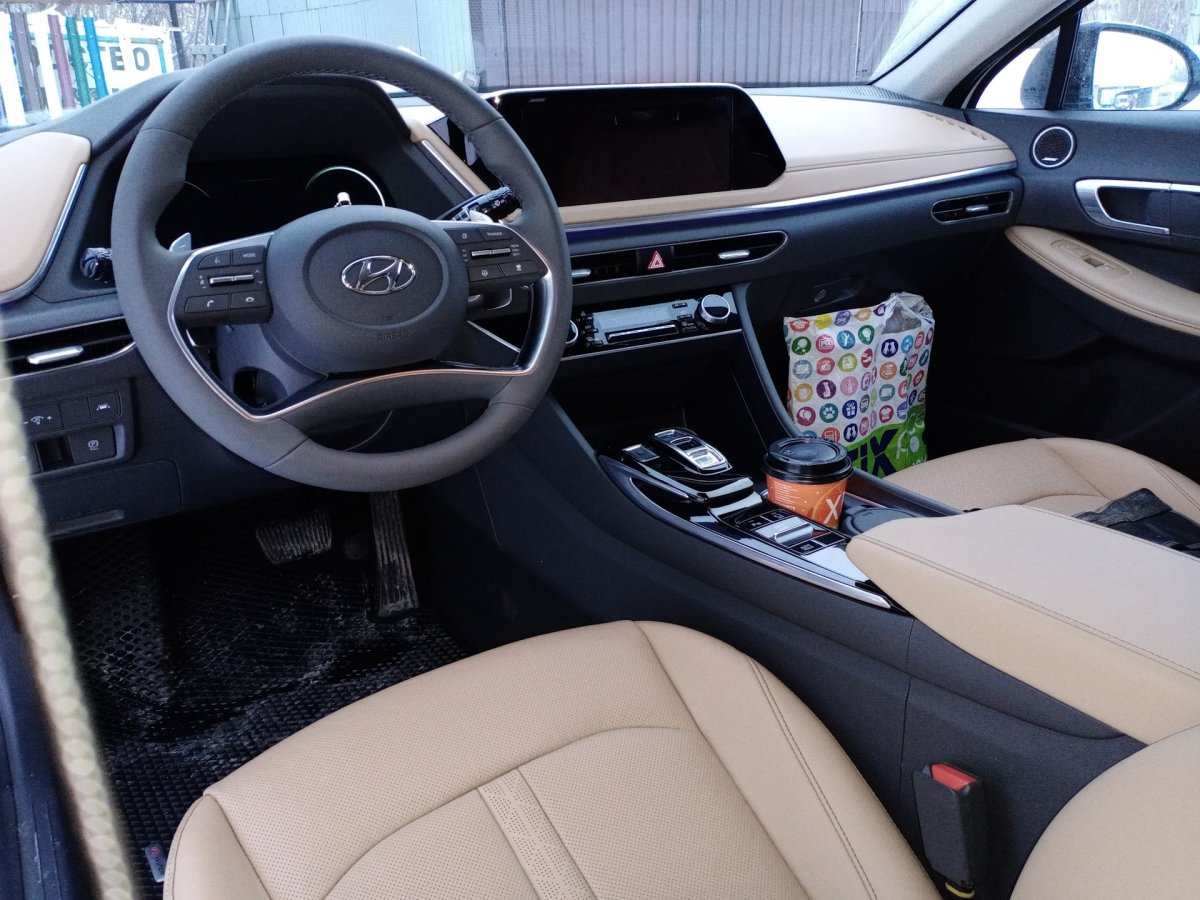 Соната 2022 салон