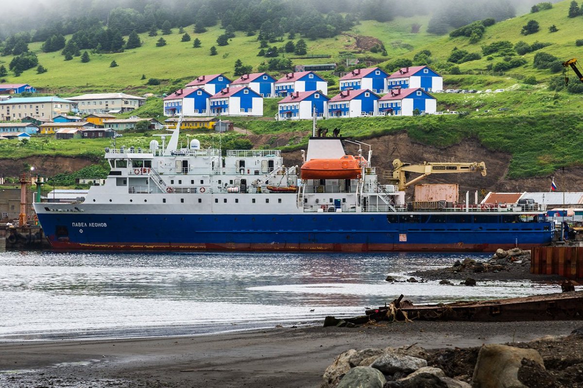 Сухогрузы морские