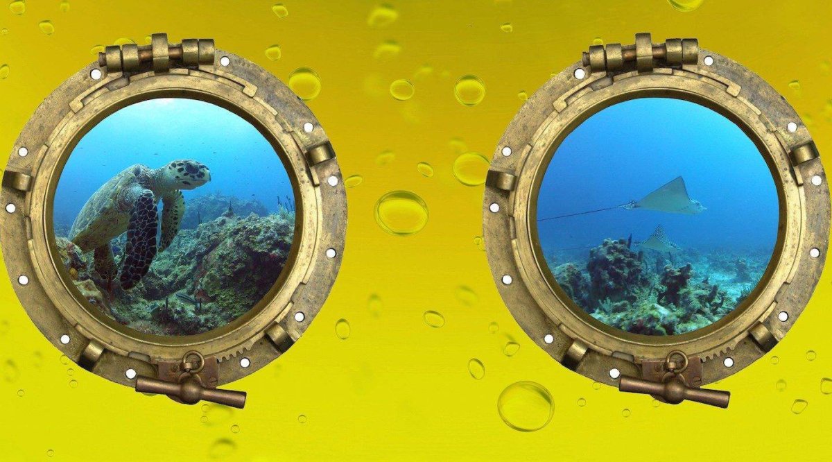 Иллюминатор подводной Батискаф