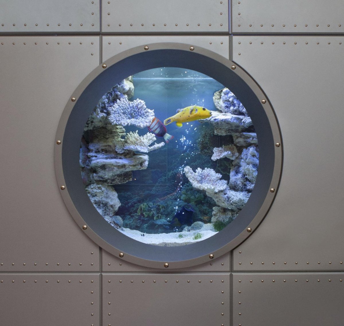 Аквариум иллюминатор