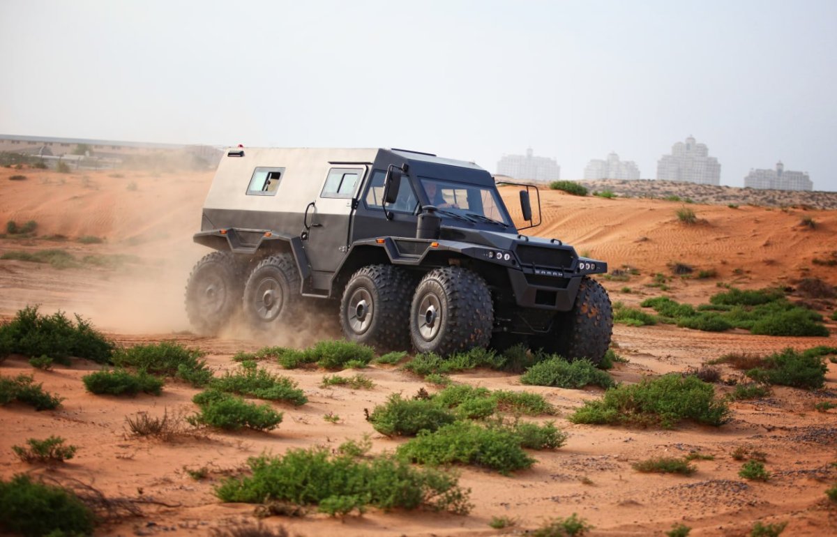 Снегоболотоход шаман