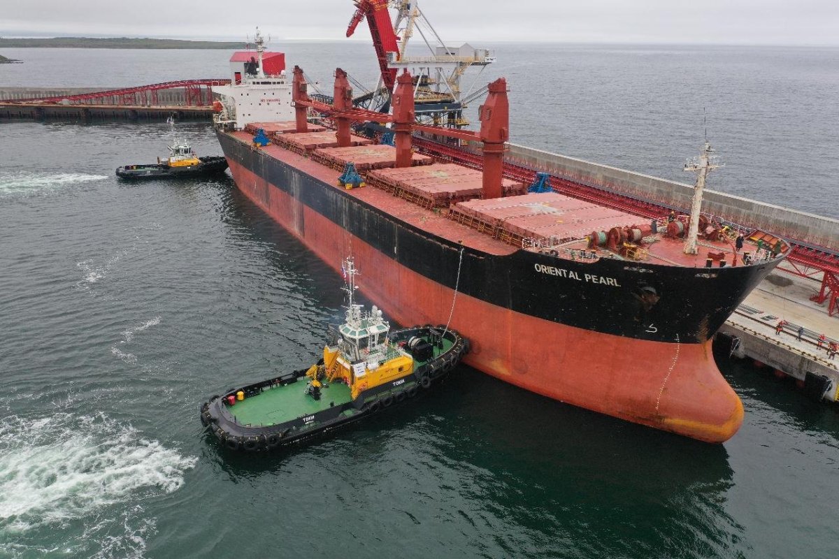 Балкер DWT 87300