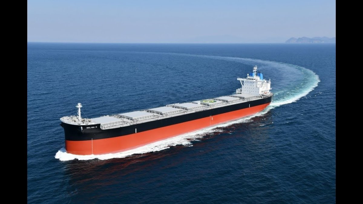 Bulk Carrier Vessel Panamax