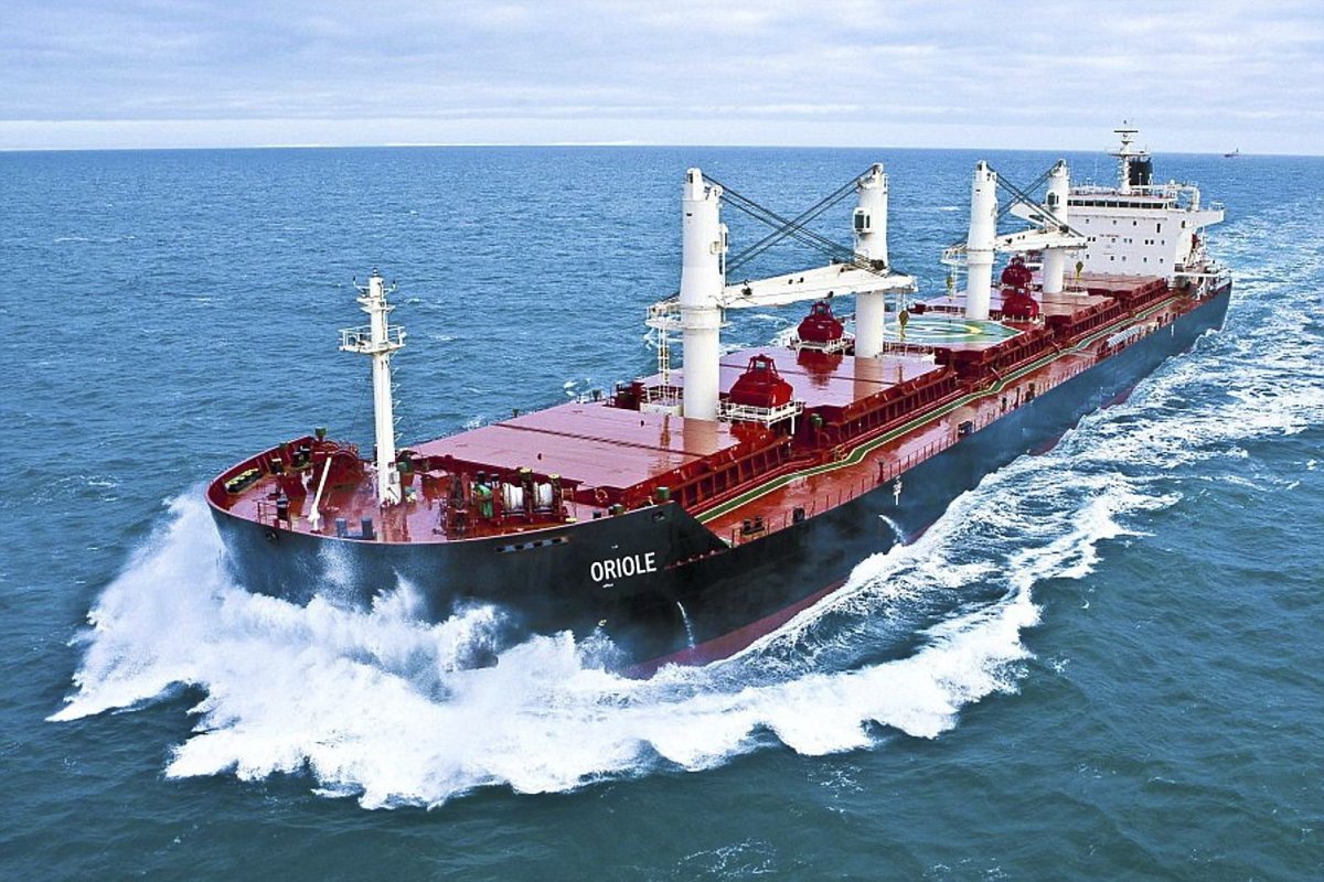 Bulk Carrier ( Capesize)