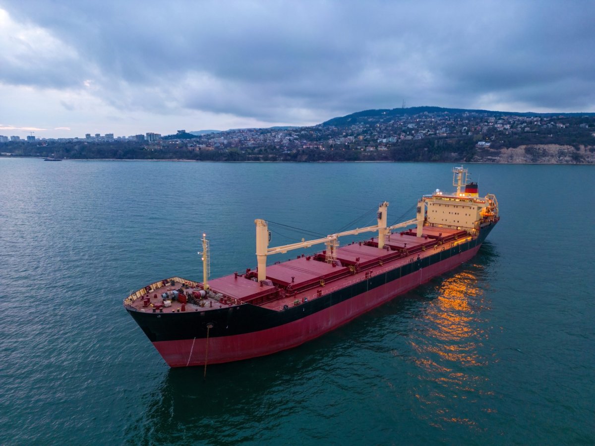 Bulk Carrier Vessel