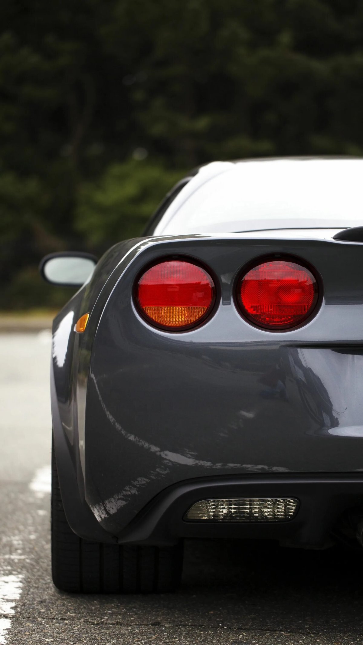 Шевроле Корвет вид сзади