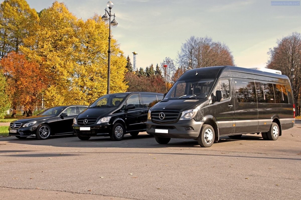 Мерседес Спринтер автопарк