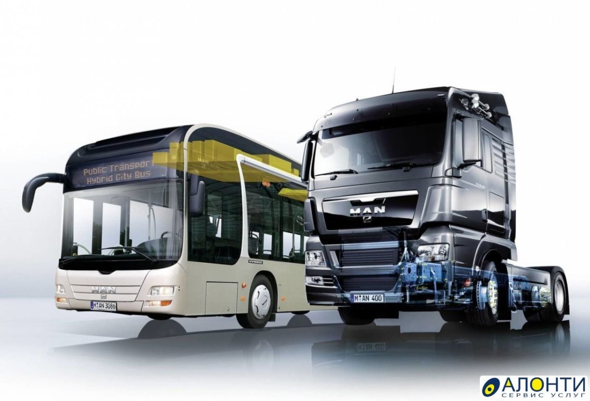 Автобусы и грузовые автомобили