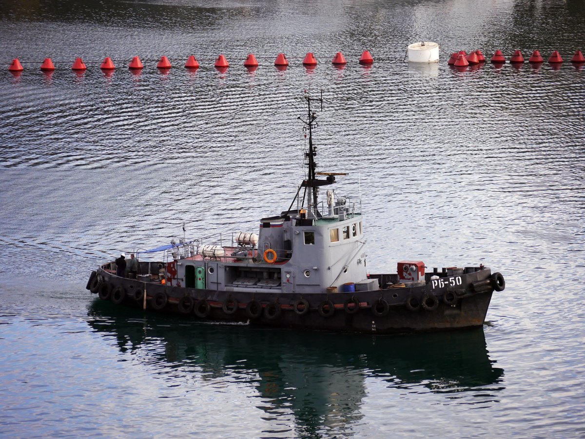 Буксир рб161 фото