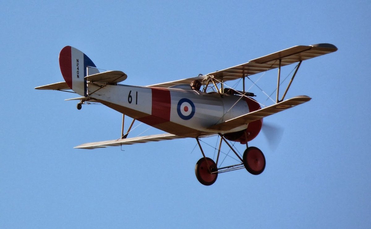 Nieuport 24