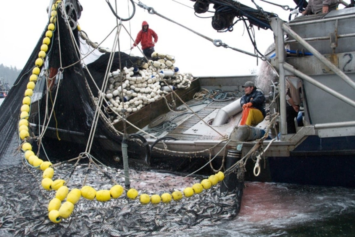 Трал рыболовный