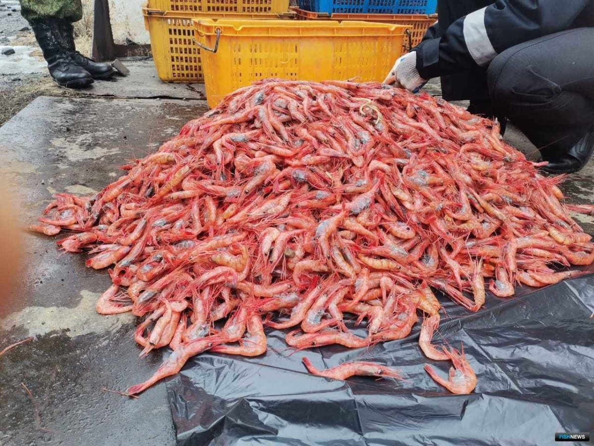 Вылов краба