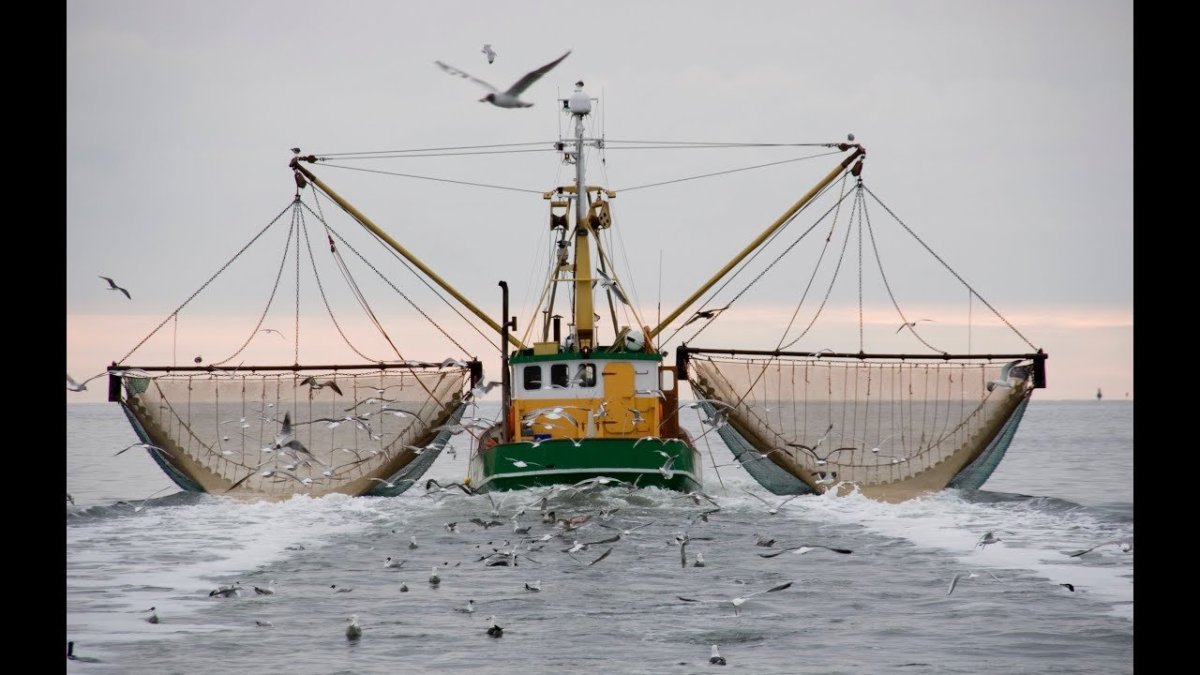 Рыболовный траулер трал