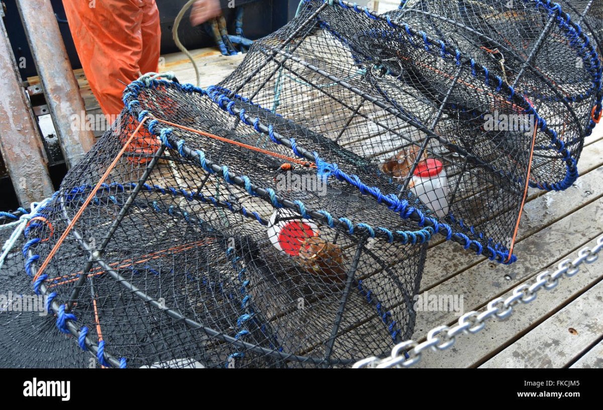 Конусная ЛОВУШКА на креветку