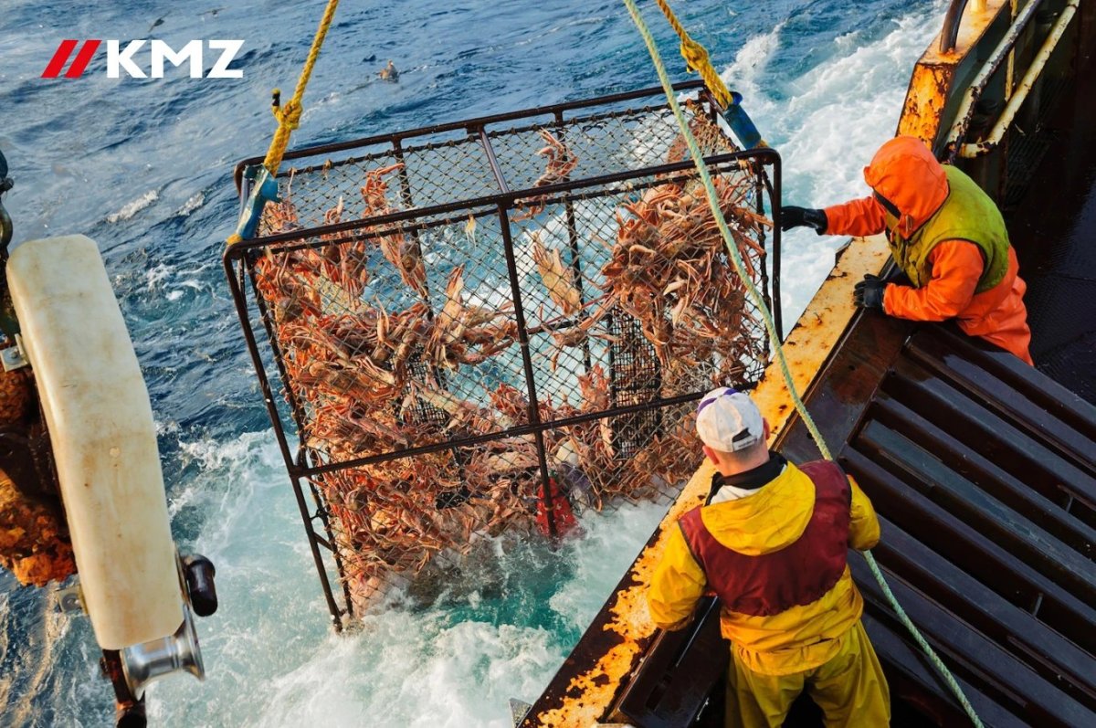 Добыча Камчатского краба в Баренцевом море