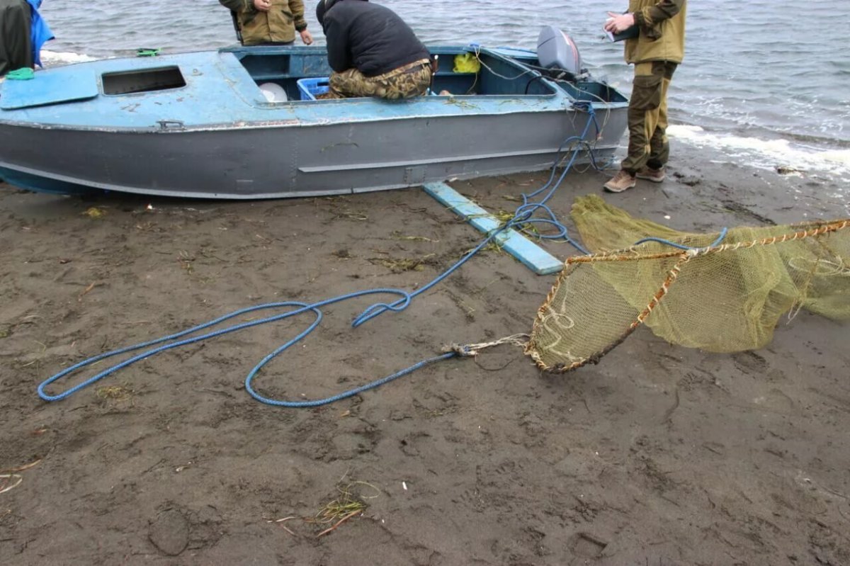 Донный трал драга