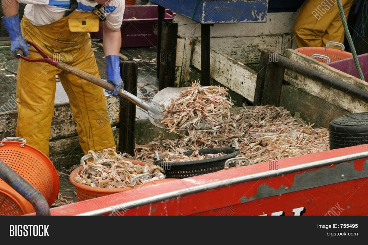 Лодка креветка