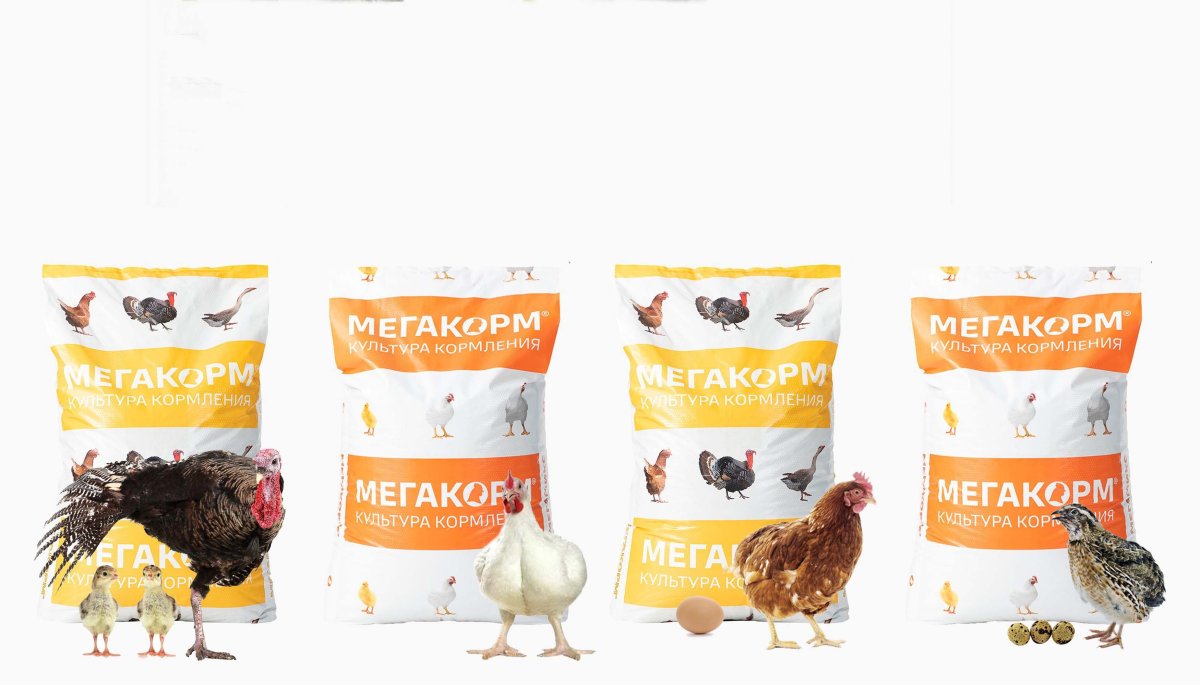 Корм мегамикс