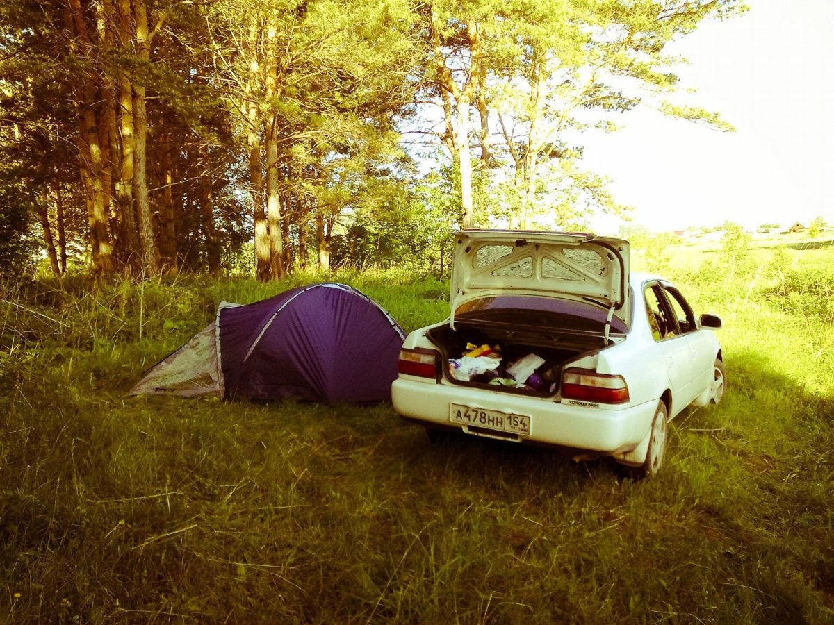 Тойота на природе