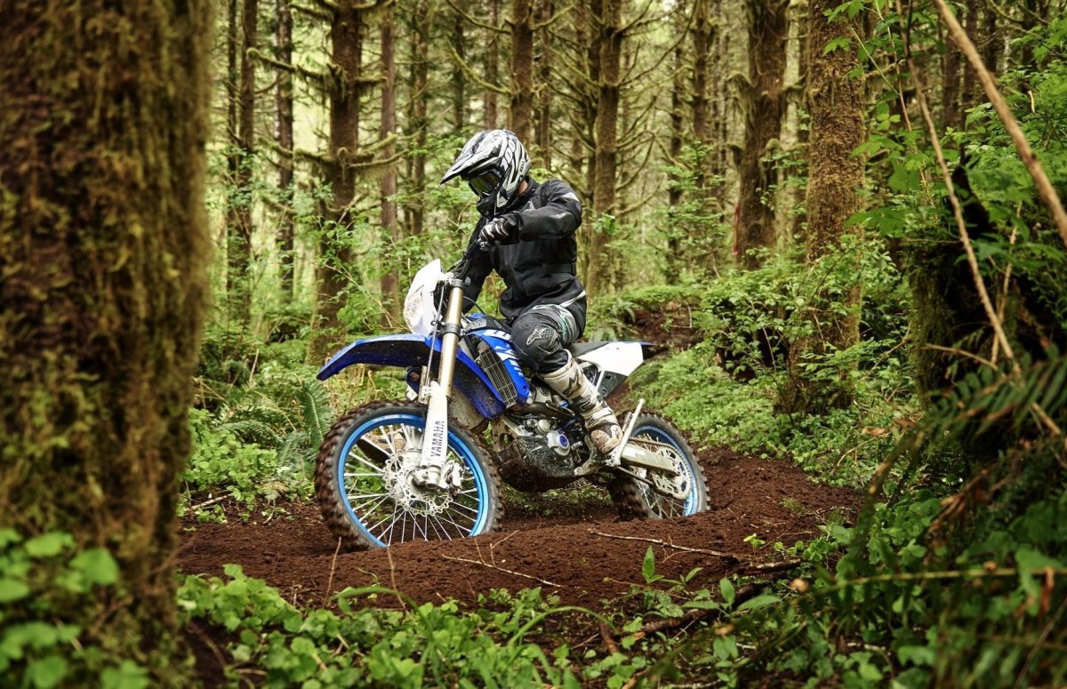 Yamaha wr450f 2018