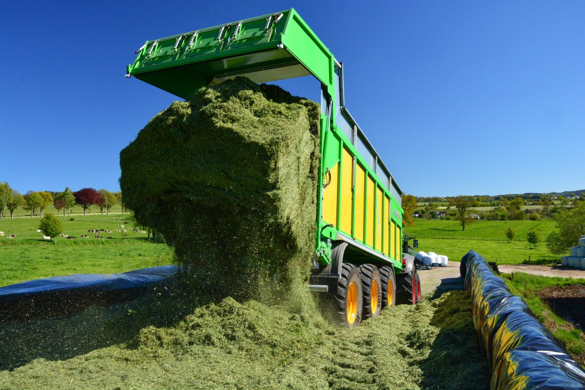 Рекорды по экспорту пшеницы