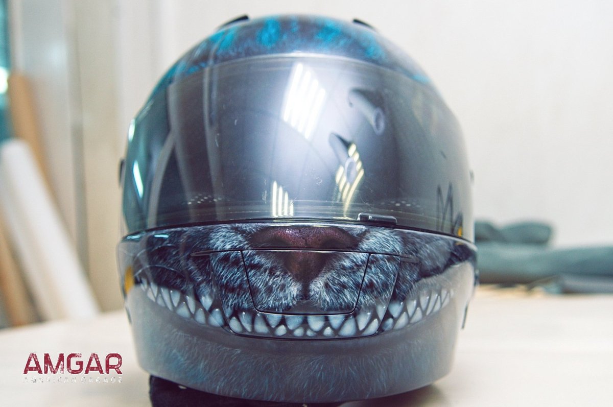 Мото шлем чешиский кот