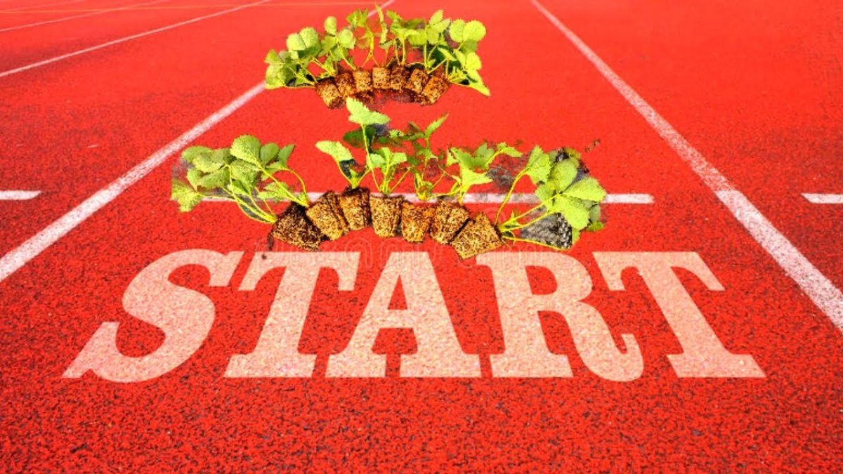 Финиш картинка