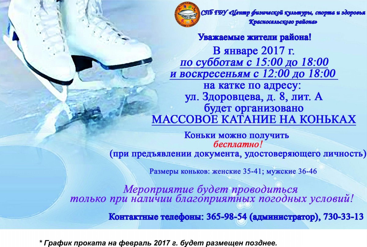 Коньки на льду