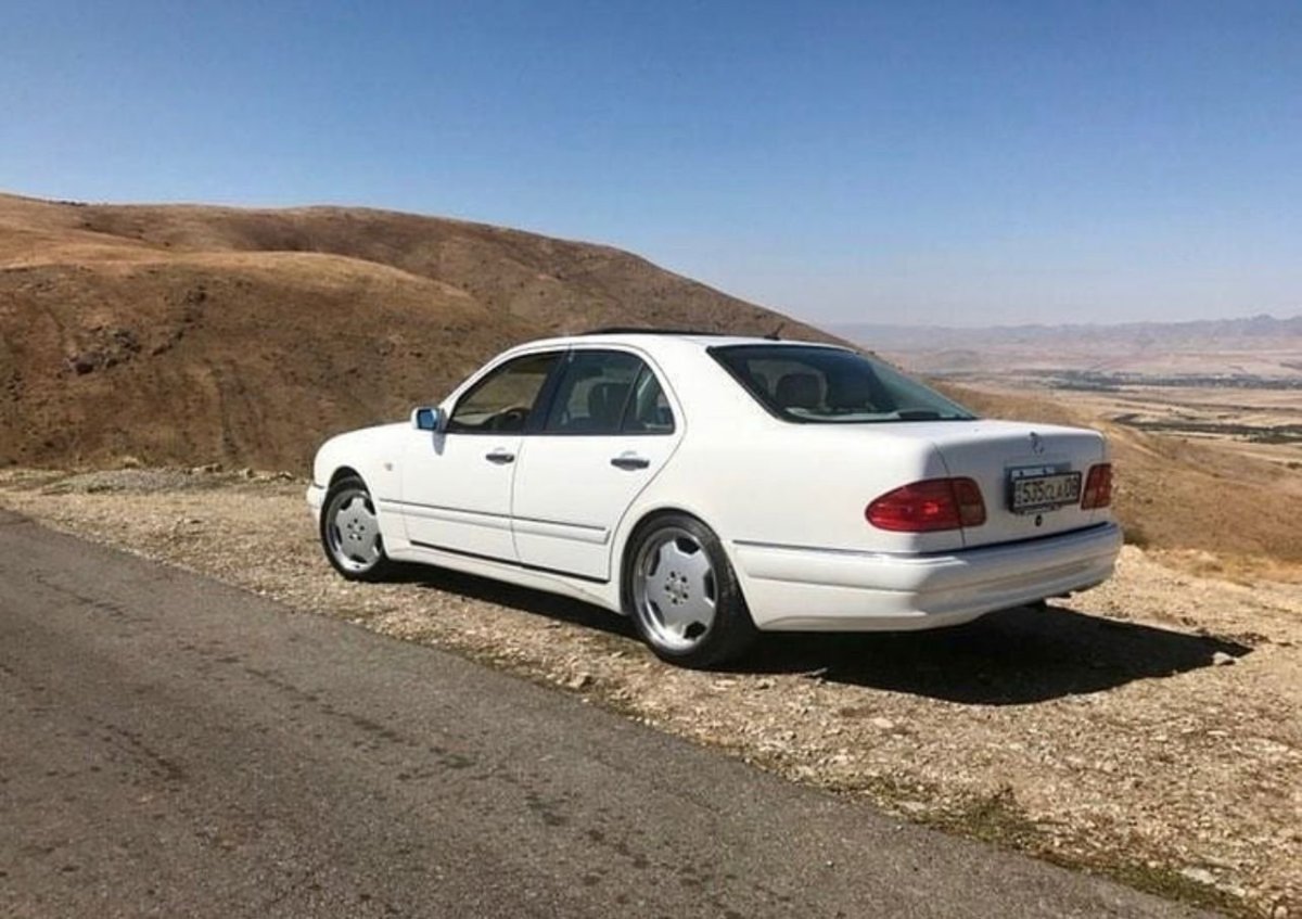 Мерседес лупарик